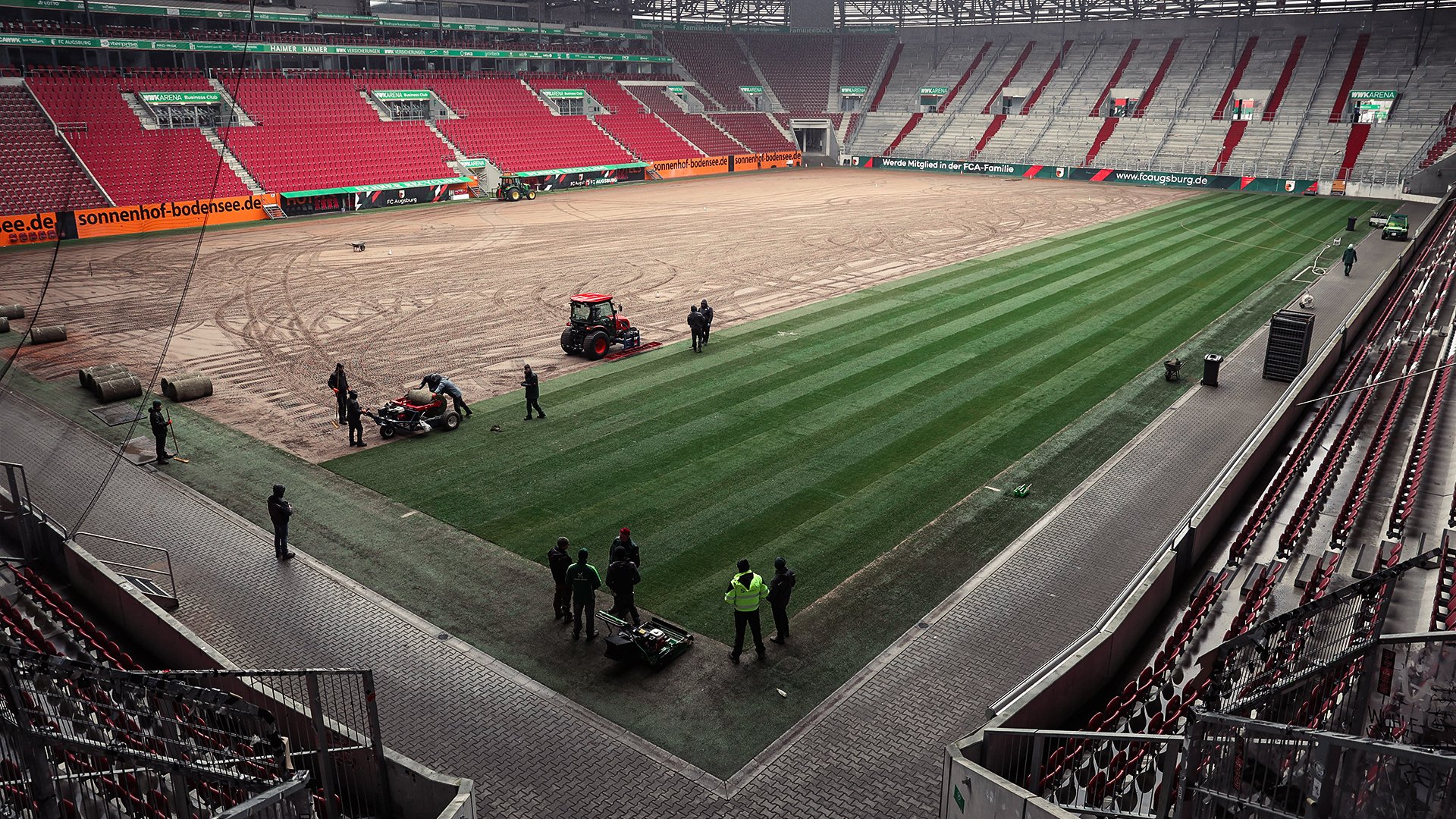 Neuer Hybridrasen fr die WWK ARENA | FC Augsburg